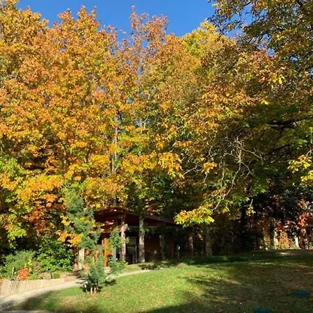 Maison Des Createurs Alpehytte Meux