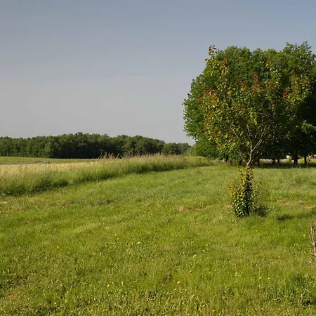 Maison Des Createurs Alpehytte *