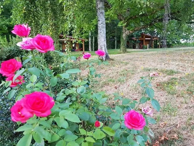 Maison Des Createurs *